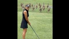 If “only in Australia” were a video, it would be this one. Who knew kangaroos enjoy golf? Watch this group of roos invade a woman’s game on the course.