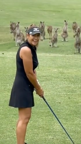 If “only in Australia” were a video, it would be this one. Who knew kangaroos enjoy golf? Watch this group of roos invade a woman’s game on the course.