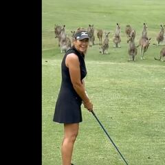 Watch: Curious kangaroos invade a golf course to see a player tee off