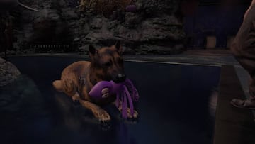 Capítulo 8: Seattle, Día 3 - Guía completa de The Last of Us 2