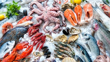 Seafood on ice at the fish market