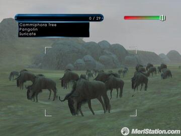 Captura de pantalla - wildearthbuffalo_0.jpg