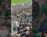 Vídeo: Peleas en la tribuna del Allegiant Stadium durante el Estados Unidos vs México