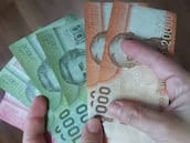 Revelan el monto que tendrá el Aguinaldo de Fiestas Patrias 2025 en Chile