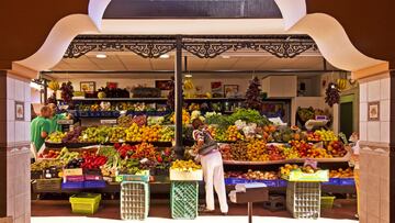 Modernidad y traición se unen en el mercado de Nuestra Señora de África para poner a la disposición de Santa Cruz de Tenerife y sus visitantes una oferta comercial de gran variedad y sabor. El mercado de la capital tinerfeña fue fundado a mediados de los años 40, cuando se convirtió en un punto de referencia y encuentro de la  ciudad. Hoy en día, este mercado se ha transformado en un centro neurálgico gracias a unos agricultores y ganaderos que trabajan incansablemente para ofrecer en sus paradas los mejores productos para llenar la despensa. En total, estas Navidades podrás disfrutar de más de 200 comerciantes que te proveerán con todo lo necesario para preparar las mejores comidas en familia a un precio muy competitivo.

Precio medio de la cesta de la compra: 50,43 €
Puestos de venta disponibles: 206