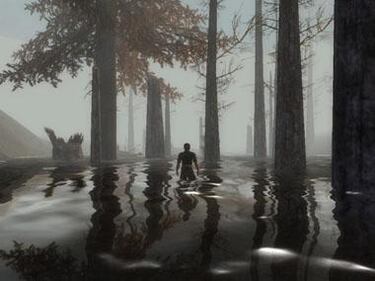 El Señor de los Anillos Online, Impresiones