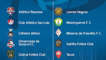 Liga Premier se jugará con solo 28 equipos