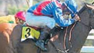 <b>REMONTÓ. </b>Trafalgar se impuso a Bollinger en 1.600 metros.