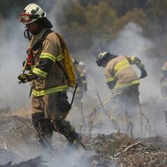 Bono Recuperación por incendios forestales: beneficiarios y qué se sabe