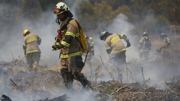 Bono Recuperación por incendios forestales: beneficiarios y qué se sabe