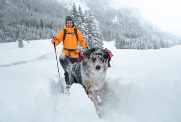 Esquiador de travesía con su perro.