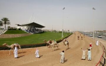 Se celebró en Dubai la Al Marmoom Heritage Festival, un acontecimiento que promueve el deporte tradicional de la carrera de camellos en la región. Los participantes lo hacen a través de un jinete robótico con control remoto. 