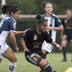 Tigres vs Monterrey, cómo y dónde; horario y TV online