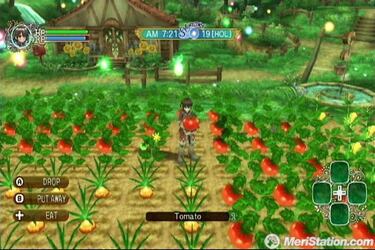 Rune Factory Frontier, Impresiones