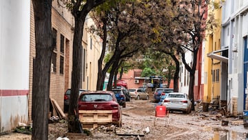 Una calle llena de barro tras el paso de la DANA, a 4 de noviembre de 2024, en Picaña, Valencia, Comunidad Valenciana (España). La DANA ha dejado, por el momento, 210 víctimas mortales en Valencia, con pueblos devastados, restricciones de movilidad y carreteras cortadas. Para hoy, está activa la Emergencia Situación 2 por inundaciones en toda la provincia de Valencia y en toda la provincia de Castellón. A pesar de que se ha restablecido el 95% de la electricidad, según Iberdrola, la mayoría de los pueblos afectados por las inundaciones continúan sin gas.
04 NOVIEMBRE 2024;INUNDACIONES;LLUVIA;DANA;VALENCIA
Matias Chiofalo / Europa Press
04/11/2024