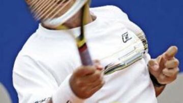 <b>BUEN TORNEO</b>. El español Nicolás Almagro deberá apartar del camino al argentino Juan Mónaco para disputar la final del torneo bonaerense.