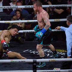 Palmarés de Canelo Álvarez: ¿Cuántos títulos ha ganado y cuáles le faltan por ganar?