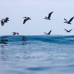 Playa Hermosa, declarada como Reserva Mundial de Surf
