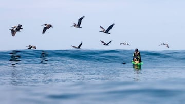 Una surfista, de rodillas sobre su tabla de surf verde, espera una ola en Punta Hermosa, playa declarada como Reserva Mundial de Surf, mientras un bando de p&aacute;jaros pasa por delante volando. 