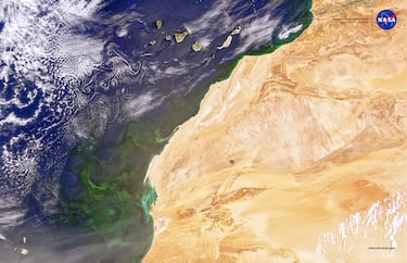 "El satélite Plancton, Aerosoles, Nubes y Ecosistemas oceánicos (PACE, por sus siglas en inglés) de la NASA, lanzado el 8 de febrero de 2024, recopila datos sobre la vida microscópica en el océano y sobre las partículas en el aire, lo que permite comprender mejor problemas como la salud de las pesquerías, la proliferación de algas nocivas, la contaminación del aire y el humo de los incendios forestales. Con PACE, los científicos también pueden investigar de qué manera interactúan el océano y la atmósfera y cómo estos se ven afectados por un clima que está cambiando. Esta imagen de África occidental y las islas Canarias fue tomada el 4 de mayo de 2024 por el instrumento de color del océano de PACE. En ella hay muchos elementos que los investigadores pueden estudiar gracias a esta misión y que están representados en las siglas de PACE. Las proliferaciones de fitoplancton se ven como colores verdes frente a la costa. Los aerosoles de polvo marrón claro son arrastrados por el viento desde África occidental sobre el océano Atlántico, que está salpicado de nubes blancas, algunas de las cuales muestran los característicos vórtices de von Kármán al suroeste de las Canarias. Los minerales transportados dentro del polvo llevan nutrientes clave, como el hierro, que sustentan la vida en la base de los ecosistemas oceánicos".