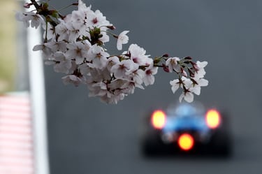 Vista general de los cerezos en flor mientras el piloto español, Carlos Sainz, rueda con su monoplaza.