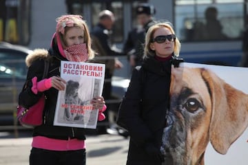 Animal rights activists hold up posters during a demonstration on April 20.