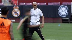 
 ZIDANE