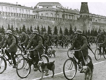 perro bomba segunda guerra mundial tanque rusia union sovietica