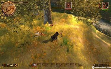 Drakensang: The Dark Eye, Impresiones