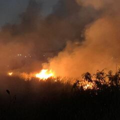 Así fue el incendio en pastizales de Tlalnepantla, EdoMex