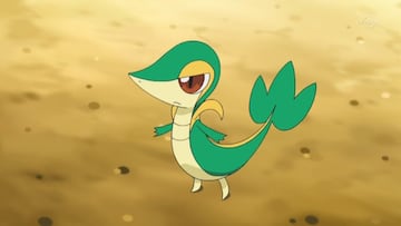 Snivy