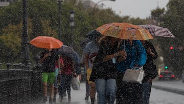 Varias personas caminan bajo sus paraguas el día en que han puesto en aviso amarillo a la Comunidad de Andalucía por tormentas y lluvias. A 13 de septiembre de 2022, en Sevilla (Andalucía, España). La Agencia Estatal de Meteorología (Aemet) ha activado para este martes, desde la madrugada, alerta amarilla por posibilidad de fuertes precipitaciones en las provincias de Córdoba, Huelva, Jaén y Sevilla. En concreto, desde las 00,00 horas de la madrugada de este martes pesa alerta amarilla por fuertes precipitaciones de hasta 15 mililitros de agua por hora en todos los territorios de las provincias de Córdoba, Huelva y Sevilla.
13 SEPTIEMBRE 2022
María José López / Europa Press
13/09/2022