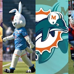 El 11 de Animales en el mundo del deporte