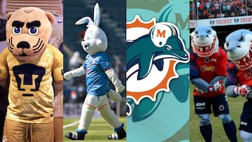 El 11 de Animales en el mundo del deporte