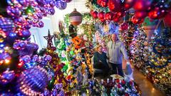 This couple has 605 Christmas trees in their home: all of them are fully decorated