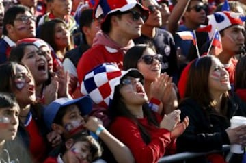 Hinchas chilenos vivieron la final con entusiasmo. 