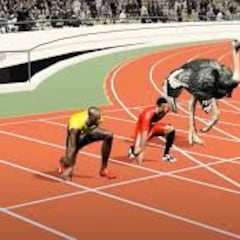 ¿Quién ganaría entre Usain Bolt, Cristiano y un avestruz en un 100?