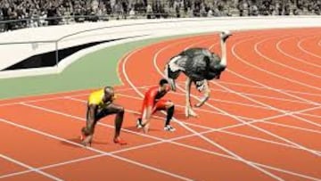 ¿Quién ganaría entre Usain Bolt, Cristiano y un avestruz en un 100?