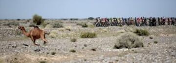 Primera etapa del Tour de Omán, 168,5 kilometros de al-Suwaiq Fort a Al Naseem Park en el norte de la provincia de Batna, al norte de la capital, Mascate, en febrero 18, 2014. La quinta edición del Tour de Omán es un evento de seis etapas montañoso