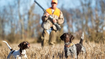 El PSOE se compromete a excluir el deporte de la Ley de Bienestar Animal