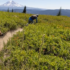 Los grandes senderos no se encuentran: se construyen, se cuidan y se comparten
