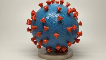 FILE PHOTO: An undated photo shows a 3-D print of a SARS-CoV-2 particle, the virus that causes COVID-19. NIH/Handout via REUTERS/File Photo  THIS IMAGE HAS BEEN SUPPLIED BY A THIRD PARTY. MANDATORY CREDIT.