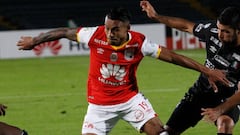 Morelo y Giraldo, con 2 o 3 semanas más de recuperación