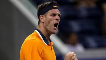 Del Potro debuta a lo grande