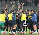 Ecuador se va al Mundial