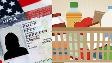 Conoce todos los productos de la canasta básica que podrías adquirir en México si usas el dinero invertido del nuevo costo de la VISA americana.