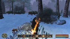 Imágenes de Gothic 3