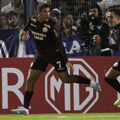 Succar domestica al lobo