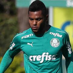 Miguel Borja deja la práctica de Palmeiras por un golpe