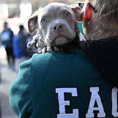 When is the 2026 Puppy Bowl? Date, time and how to watch
